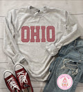 Ohio Applique Embroidered Sweatshirt